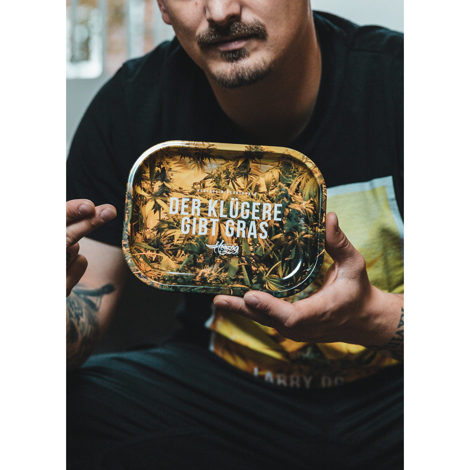 fliegen-24-7-mischeschale Fliegen 24/7 (Mischeschale)